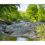 Bushcraft Coscione Bushcraft Coscione • <a style="font-size:0.8em;" href="http://www.flickr.com/photos/56388541@N06/27391389451/" target="_blank">View on Flickr</a>