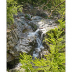 Bushcraft Coscione Bushcraft Coscione • <a style="font-size:0.8em;" href="http://www.flickr.com/photos/56388541@N06/27428674576/" target="_blank">View on Flickr</a>