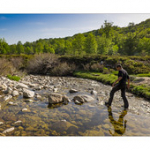 Bushcraft Coscione Bushcraft Coscione • <a style="font-size:0.8em;" href="http://www.flickr.com/photos/56388541@N06/27186354630/" target="_blank">View on Flickr</a>