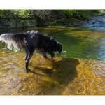 Bushcraft Coscione Bushcraft Coscione • <a style="font-size:0.8em;" href="http://www.flickr.com/photos/56388541@N06/27391621151/" target="_blank">View on Flickr</a>