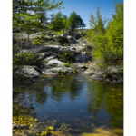 Bushcraft Coscione Bushcraft Coscione • <a style="font-size:0.8em;" href="http://www.flickr.com/photos/56388541@N06/26854110504/" target="_blank">View on Flickr</a>