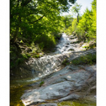 Bushcraft Coscione Bushcraft Coscione • <a style="font-size:0.8em;" href="http://www.flickr.com/photos/56388541@N06/27428866296/" target="_blank">View on Flickr</a>