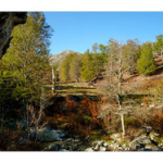 BUSHCRAFT Plateau du COSCIONE BUSHCRAFT Plateau du COSCIONE • <a style="font-size:0.8em;" href="http://www.flickr.com/photos/56388541@N06/26580817890/" target="_blank">View on Flickr</a>