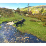 BUSHCRAFT Plateau du COSCIONE BUSHCRAFT Plateau du COSCIONE • <a style="font-size:0.8em;" href="http://www.flickr.com/photos/56388541@N06/26258977983/" target="_blank">View on Flickr</a>