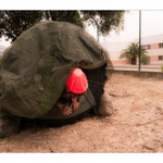 CAMERONE 2016 CAMERONE 2016 • <a style="font-size:0.8em;" href="http://www.flickr.com/photos/56388541@N06/26771194556/" target="_blank">View on Flickr</a>