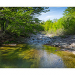 Bushcraft Coscione Bushcraft Coscione • <a style="font-size:0.8em;" href="http://www.flickr.com/photos/56388541@N06/27463190145/" target="_blank">View on Flickr</a>