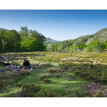 Bushcraft Coscione Bushcraft Coscione • <a style="font-size:0.8em;" href="http://www.flickr.com/photos/56388541@N06/27363489042/" target="_blank">View on Flickr</a>