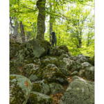 Bushcraft Coscione 2 Bushcraft Coscione 2 • <a style="font-size:0.8em;" href="http://www.flickr.com/photos/56388541@N06/26849477304/" target="_blank">View on Flickr</a>