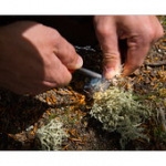 Bushcraft Coscione 2 Bushcraft Coscione 2 • <a style="font-size:0.8em;" href="http://www.flickr.com/photos/56388541@N06/27424257636/" target="_blank">View on Flickr</a>