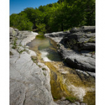 Bushcraft Coscione Bushcraft Coscione • <a style="font-size:0.8em;" href="http://www.flickr.com/photos/56388541@N06/26854144774/" target="_blank">View on Flickr</a>