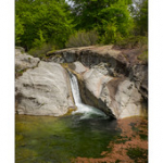 Bushcraft Coscione 2 Bushcraft Coscione 2 • <a style="font-size:0.8em;" href="http://www.flickr.com/photos/56388541@N06/26851646113/" target="_blank">View on Flickr</a>