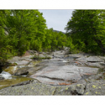 Bushcraft Coscione 2 Bushcraft Coscione 2 • <a style="font-size:0.8em;" href="http://www.flickr.com/photos/56388541@N06/27458834485/" target="_blank">View on Flickr</a>