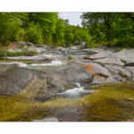 Bushcraft Coscione 2 Bushcraft Coscione 2 • <a style="font-size:0.8em;" href="http://www.flickr.com/photos/56388541@N06/27359587042/" target="_blank">View on Flickr</a>