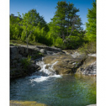 Bushcraft Coscione Bushcraft Coscione • <a style="font-size:0.8em;" href="http://www.flickr.com/photos/56388541@N06/27363909492/" target="_blank">View on Flickr</a>