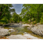 Bushcraft Coscione 2 Bushcraft Coscione 2 • <a style="font-size:0.8em;" href="http://www.flickr.com/photos/56388541@N06/27387280101/" target="_blank">View on Flickr</a>