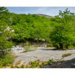 Bushcraft Coscione 2 Bushcraft Coscione 2 • <a style="font-size:0.8em;" href="http://www.flickr.com/photos/56388541@N06/27424682686/" target="_blank">View on Flickr</a>