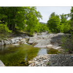 Bushcraft Coscione 2 Bushcraft Coscione 2 • <a style="font-size:0.8em;" href="http://www.flickr.com/photos/56388541@N06/27424471796/" target="_blank">View on Flickr</a>