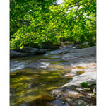 Bushcraft Coscione Bushcraft Coscione • <a style="font-size:0.8em;" href="http://www.flickr.com/photos/56388541@N06/27186409290/" target="_blank">View on Flickr</a>