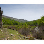 Bushcraft Coscione 2 Bushcraft Coscione 2 • <a style="font-size:0.8em;" href="http://www.flickr.com/photos/56388541@N06/27458704275/" target="_blank">View on Flickr</a>