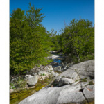 Bushcraft Coscione Bushcraft Coscione • <a style="font-size:0.8em;" href="http://www.flickr.com/photos/56388541@N06/26855989793/" target="_blank">View on Flickr</a>