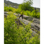 Bushcraft Coscione 2 Bushcraft Coscione 2 • <a style="font-size:0.8em;" href="http://www.flickr.com/photos/56388541@N06/27387351631/" target="_blank">View on Flickr</a>