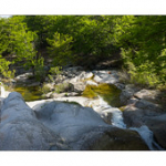 Bushcraft Coscione Bushcraft Coscione • <a style="font-size:0.8em;" href="http://www.flickr.com/photos/56388541@N06/27463094245/" target="_blank">View on Flickr</a>