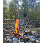 BUSHCRAFT Plateau du COSCIONE BUSHCRAFT Plateau du COSCIONE • <a style="font-size:0.8em;" href="http://www.flickr.com/photos/56388541@N06/26822287856/" target="_blank">View on Flickr</a>