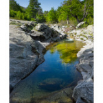 Bushcraft Coscione Bushcraft Coscione • <a style="font-size:0.8em;" href="http://www.flickr.com/photos/56388541@N06/26853886054/" target="_blank">View on Flickr</a>