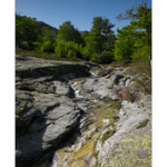 Bushcraft Coscione Bushcraft Coscione • <a style="font-size:0.8em;" href="http://www.flickr.com/photos/56388541@N06/27391533441/" target="_blank">View on Flickr</a>