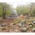 BUSHCRAFT Plateau du COSCIONE BUSHCRAFT Plateau du COSCIONE • <a style="font-size:0.8em;" href="http://www.flickr.com/photos/56388541@N06/26763136272/" target="_blank">View on Flickr</a>