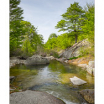 Bushcraft Coscione 2 Bushcraft Coscione 2 • <a style="font-size:0.8em;" href="http://www.flickr.com/photos/56388541@N06/27360104262/" target="_blank">View on Flickr</a>