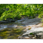 Bushcraft Coscione Bushcraft Coscione • <a style="font-size:0.8em;" href="http://www.flickr.com/photos/56388541@N06/27462997735/" target="_blank">View on Flickr</a>