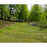 Bushcraft Coscione 2 Bushcraft Coscione 2 • <a style="font-size:0.8em;" href="http://www.flickr.com/photos/56388541@N06/27424321226/" target="_blank">View on Flickr</a>