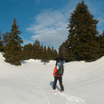 DSC_7477 DSC_7477 • <a style="font-size:0.8em;" href="http://www.flickr.com/photos/56388541@N06/13068263645/" target="_blank">View on Flickr</a>