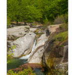 Bushcraft Coscione 2 Bushcraft Coscione 2 • <a style="font-size:0.8em;" href="http://www.flickr.com/photos/56388541@N06/27387325741/" target="_blank">View on Flickr</a>