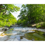 Bushcraft Coscione Bushcraft Coscione • <a style="font-size:0.8em;" href="http://www.flickr.com/photos/56388541@N06/26855602303/" target="_blank">View on Flickr</a>