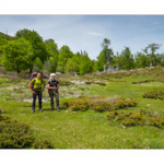 Bushcraft Coscione 2 Bushcraft Coscione 2 • <a style="font-size:0.8em;" href="http://www.flickr.com/photos/56388541@N06/27387136051/" target="_blank">View on Flickr</a>