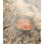 BUSHCRAFT Plateau du COSCIONE BUSHCRAFT Plateau du COSCIONE • <a style="font-size:0.8em;" href="http://www.flickr.com/photos/56388541@N06/26583988330/" target="_blank">View on Flickr</a>