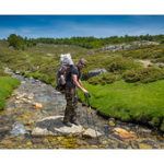 Bushcraft Coscione 2 Bushcraft Coscione 2 • <a style="font-size:0.8em;" href="http://www.flickr.com/photos/56388541@N06/27386733511/" target="_blank">View on Flickr</a>