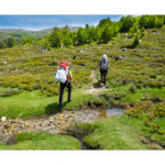 Bushcraft Coscione 2 Bushcraft Coscione 2 • <a style="font-size:0.8em;" href="http://www.flickr.com/photos/56388541@N06/27458537255/" target="_blank">View on Flickr</a>