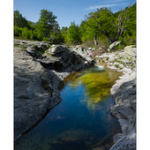 Bushcraft Coscione Bushcraft Coscione • <a style="font-size:0.8em;" href="http://www.flickr.com/photos/56388541@N06/26855679673/" target="_blank">View on Flickr</a>