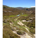 BUSHCRAFT Plateau du COSCIONE BUSHCRAFT Plateau du COSCIONE • <a style="font-size:0.8em;" href="http://www.flickr.com/photos/56388541@N06/26758585132/" target="_blank">View on Flickr</a>