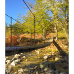 BUSHCRAFT Plateau du COSCIONE BUSHCRAFT Plateau du COSCIONE • <a style="font-size:0.8em;" href="http://www.flickr.com/photos/56388541@N06/26788324861/" target="_blank">View on Flickr</a>