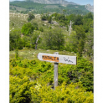 Bushcraft Coscione Bushcraft Coscione • <a style="font-size:0.8em;" href="http://www.flickr.com/photos/56388541@N06/27363433212/" target="_blank">View on Flickr</a>