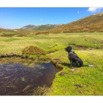 BUSHCRAFT Plateau du COSCIONE BUSHCRAFT Plateau du COSCIONE • <a style="font-size:0.8em;" href="http://www.flickr.com/photos/56388541@N06/26585055960/" target="_blank">View on Flickr</a>