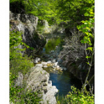 Bushcraft Coscione Bushcraft Coscione • <a style="font-size:0.8em;" href="http://www.flickr.com/photos/56388541@N06/26855933223/" target="_blank">View on Flickr</a>