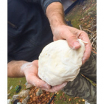 BUSHCRAFT Plateau du COSCIONE BUSHCRAFT Plateau du COSCIONE • <a style="font-size:0.8em;" href="http://www.flickr.com/photos/56388541@N06/26856554365/" target="_blank">View on Flickr</a>