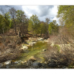 BUSHCRAFT Plateau du COSCIONE BUSHCRAFT Plateau du COSCIONE • <a style="font-size:0.8em;" href="http://www.flickr.com/photos/56388541@N06/26857505875/" target="_blank">View on Flickr</a>