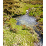 BUSHCRAFT Plateau du COSCIONE BUSHCRAFT Plateau du COSCIONE • <a style="font-size:0.8em;" href="http://www.flickr.com/photos/56388541@N06/26579295900/" target="_blank">View on Flickr</a>