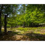 Bushcraft Coscione 2 Bushcraft Coscione 2 • <a style="font-size:0.8em;" href="http://www.flickr.com/photos/56388541@N06/27387048871/" target="_blank">View on Flickr</a>